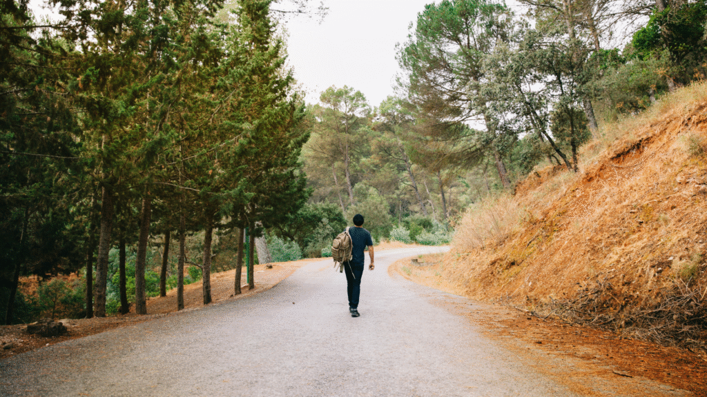 Person Walking Alone in a Forest Path